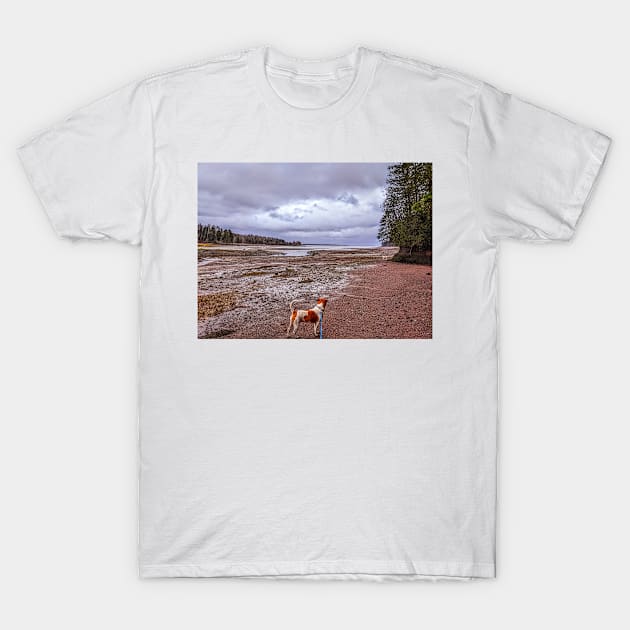 Two dogs at low tide in Perry Maine at Lewis cove in Dec, 2022 T-Shirt by AdonEast